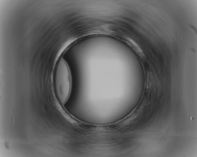 X0000097880796200803140941