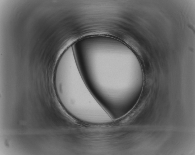 X0000097880797200803140941