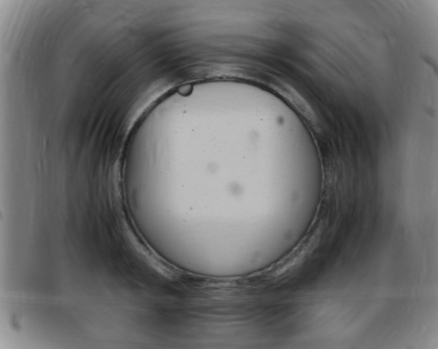 X0000097880798200803140941