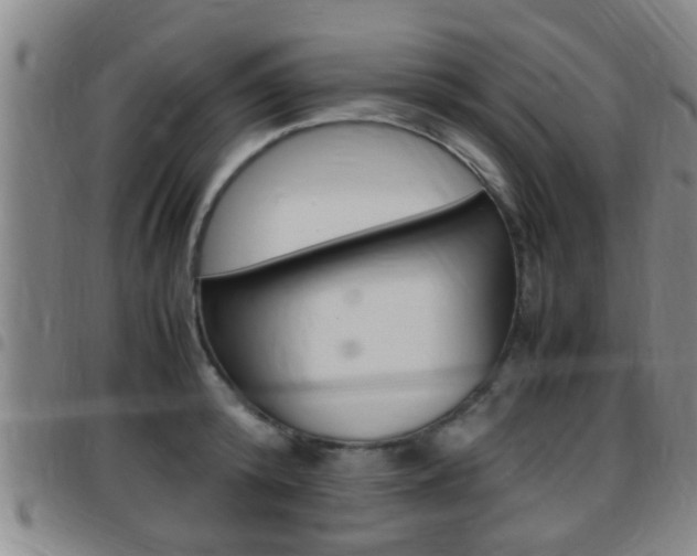 X0000097880800200803140941