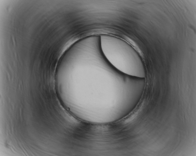 X0000097880802200803140941