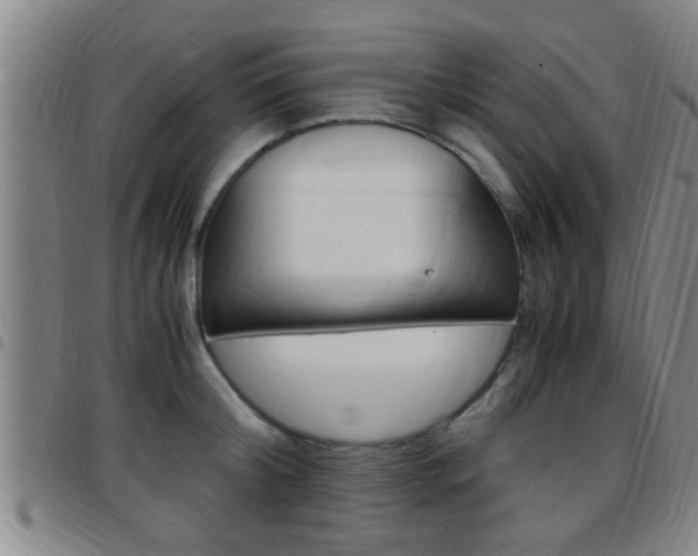 X0000097880804200803140941