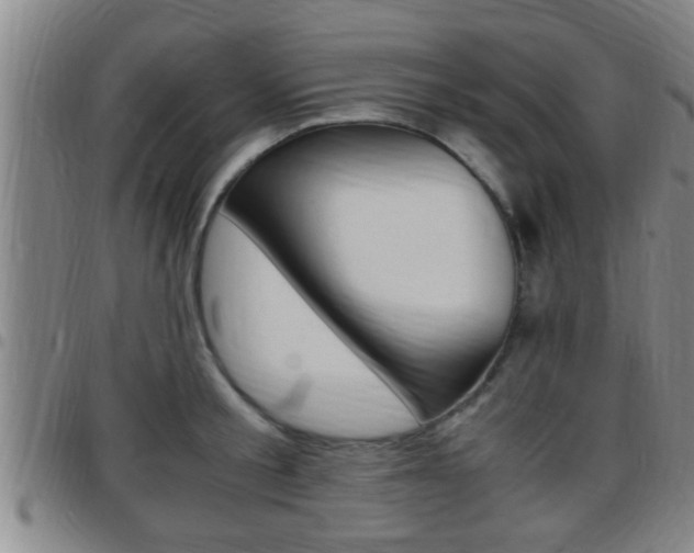 X0000097880805200803140941