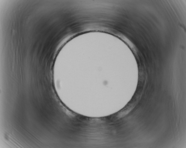 X0000097880807200803140941