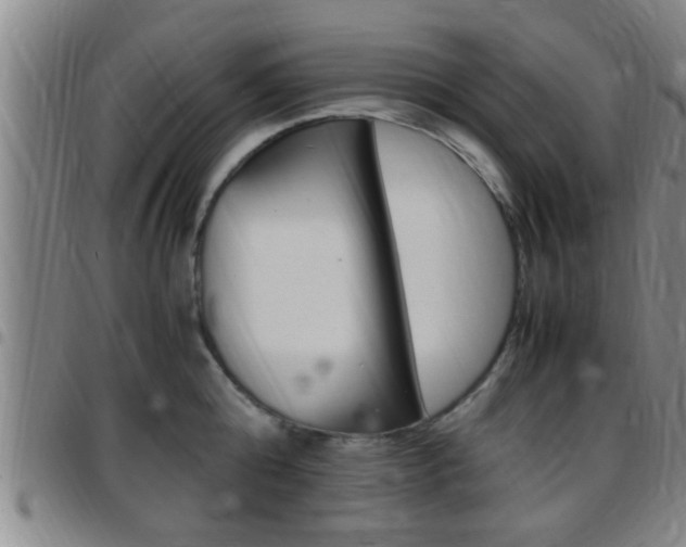 X0000097880808200803140941