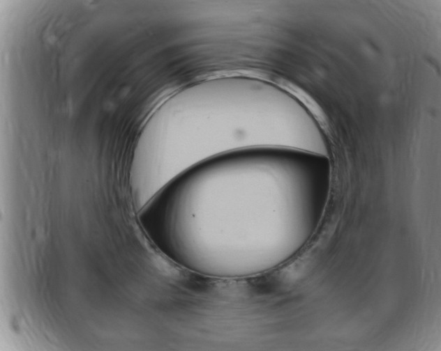 X0000097880809200803140941