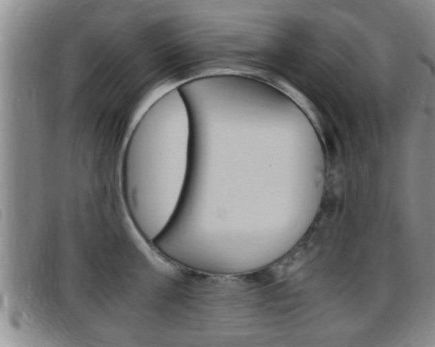 X0000097880811200803140941