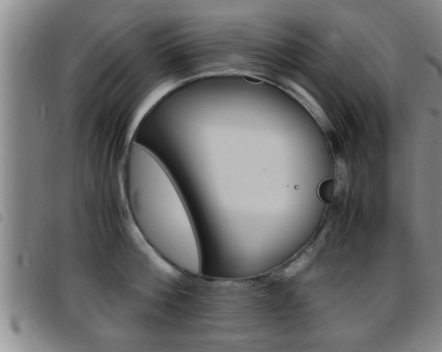 X0000097880812200803140941
