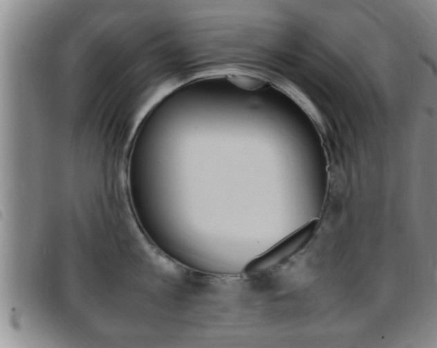 X0000097880813200803140941