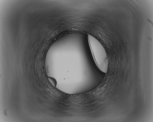 X0000097880817200803140940