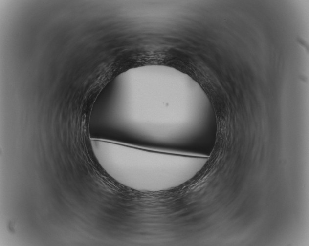 X0000097880818200803140940