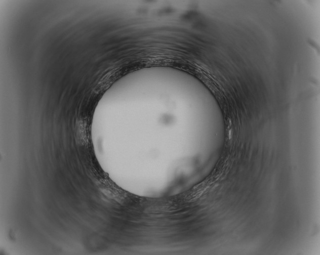 X0000097880819200803140940