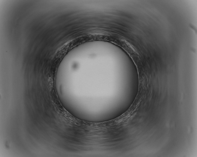 X0000097880821200803140940
