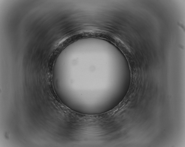 X0000097880822200803140940