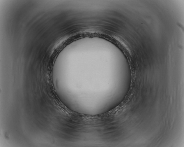 X0000097880823200803140940