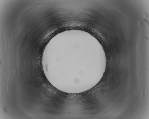 X0000097880824200803140940