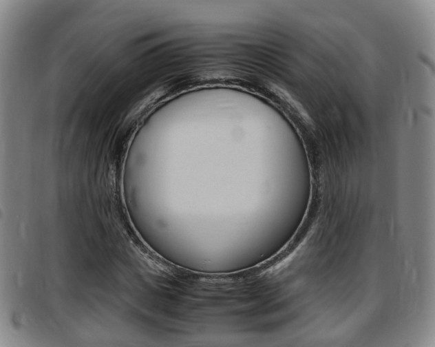 X0000097880825200803140940