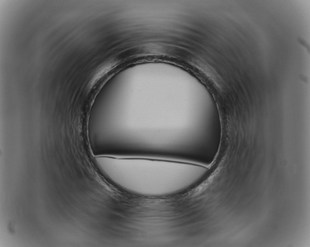 X0000097880826200803140940
