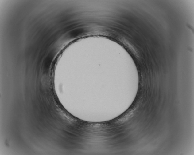X0000097880828200803140940