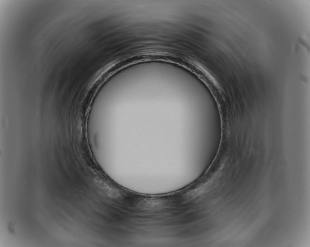 X0000097880829200803140940