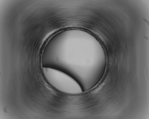 X0000097880830200803140940