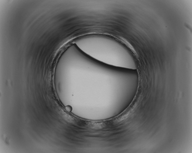 X0000097880831200803140940