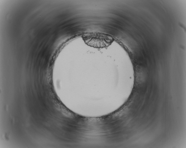 X0000097880832200803140940