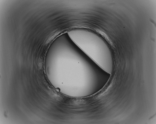 X0000097880833200803140940
