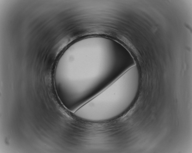 X0000097880834200803140940