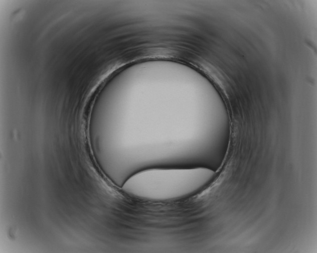 X0000097880835200803140940
