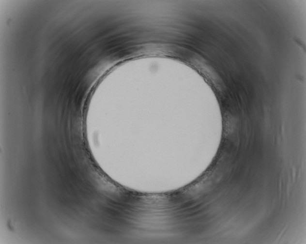 X0000097880836200803140940