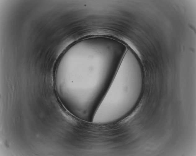 X0000097880837200803140940