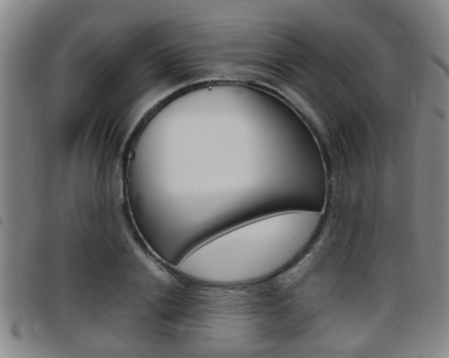X0000097880838200803140940