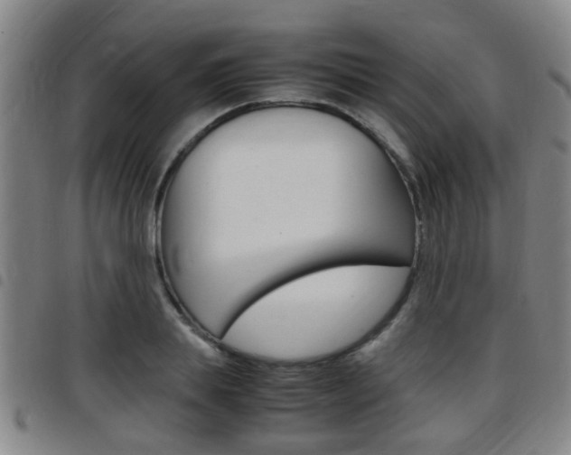 X0000097880839200803140940