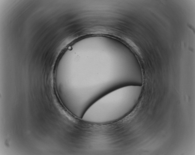 X0000097880840200803140940