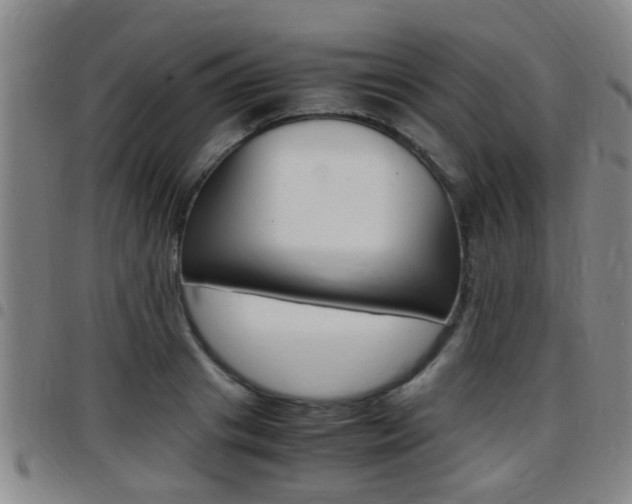 X0000097880841200803140940