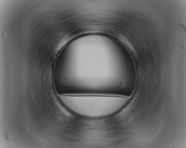 X0000097880842200803140940