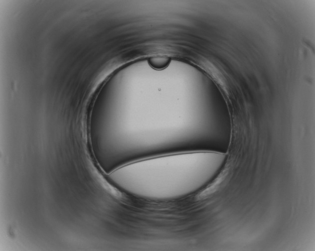 X0000097880843200803140940