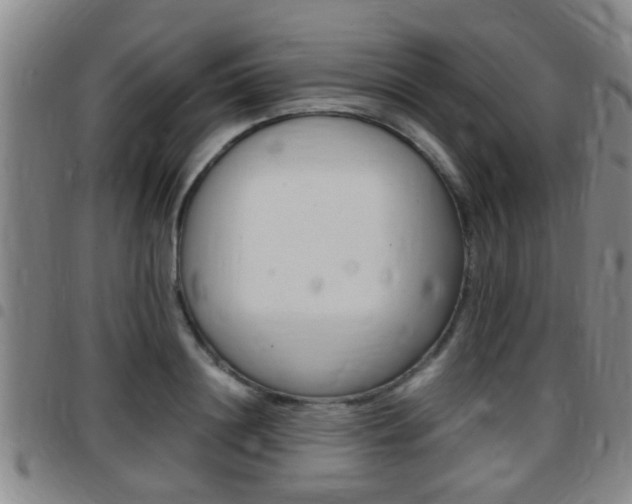 X0000097880844200803140940