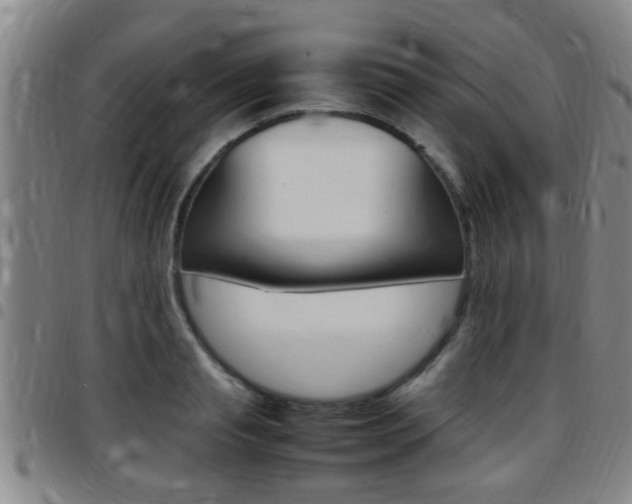 X0000097880845200803140940