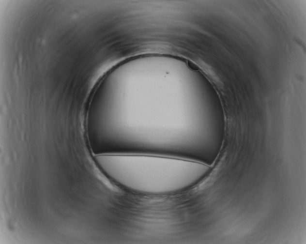 X0000097880846200803140940