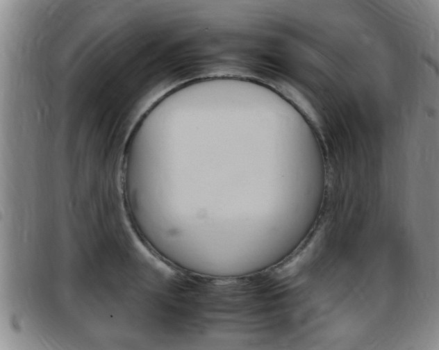 X0000097880847200803140940