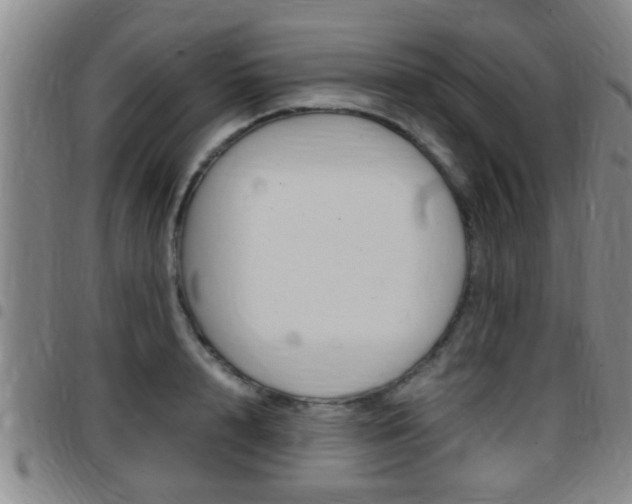 X0000097880848200803140940