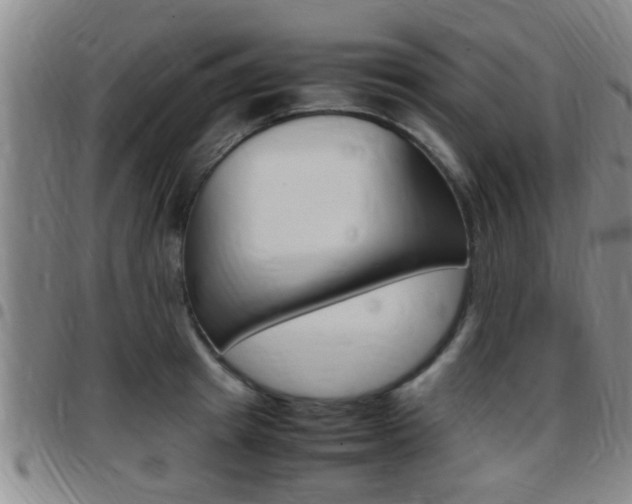 X0000097880849200803140940
