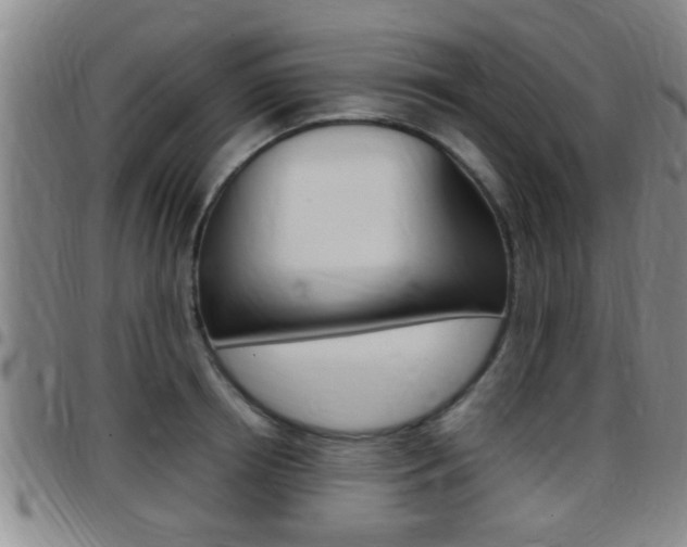 X0000097880850200803140940