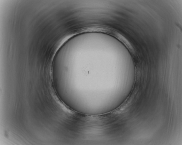 X0000097880852200803140940