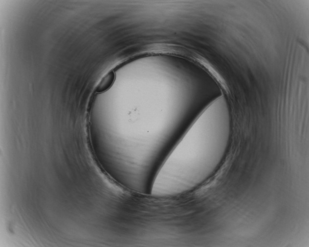 X0000097880853200803140940
