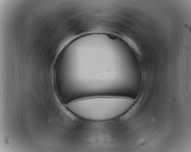 X0000097880854200803140940