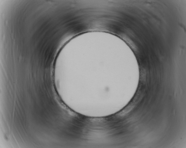 X0000097880856200803140940