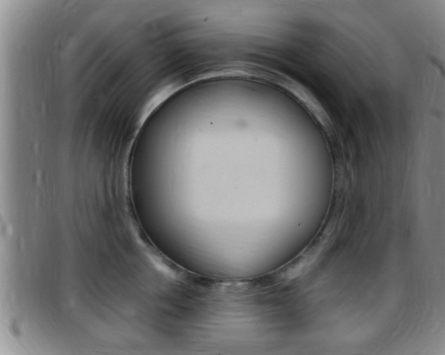 X0000097880858200803140940